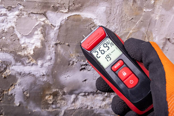 Best Local Mold Removal Service  in Helena Flats, MT