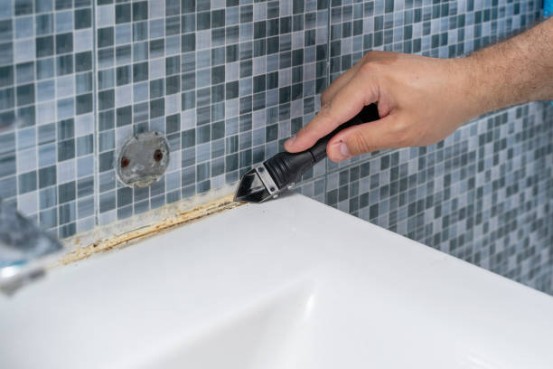 Best Best Mold Removal Companies  in Helena Flats, MT