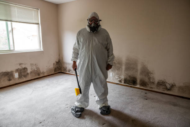 Best Mold Cleaning Services  in Helena Flats, MT